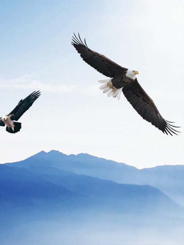 佟富国的职业照片